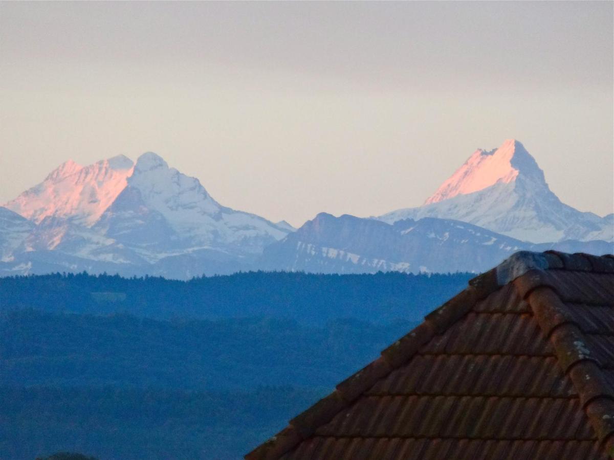 "Zur Alten Schmiede", 70M2 Studio Mit Kaminfeuer Und Sauna Fraubrunnen Esterno foto